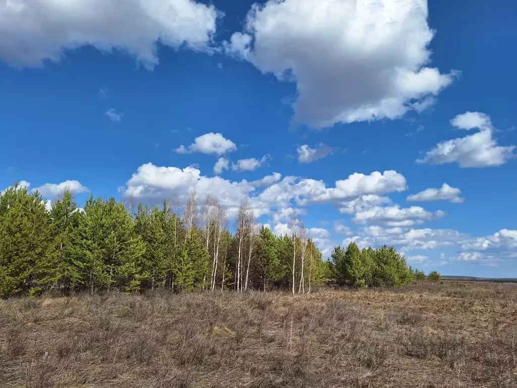 Участок в Свердловская область, Белоярский городской округ, д. Гусева  ... - Фото 1