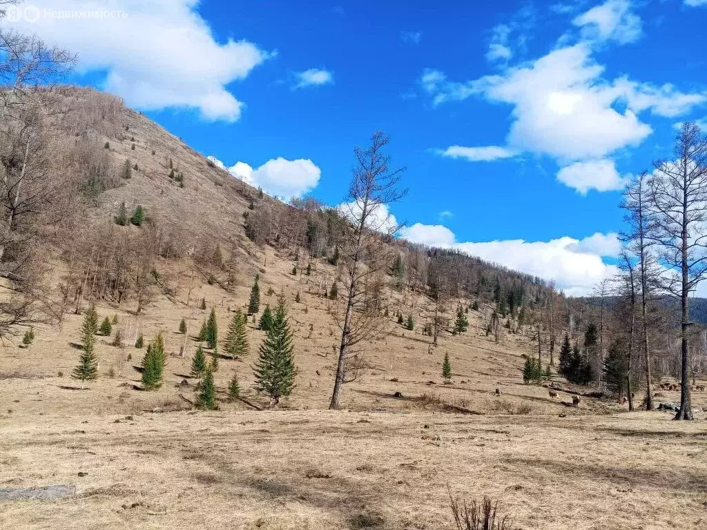 Участок в Усть-Коксинский район, село Карагай (145000 м) - Фото 1