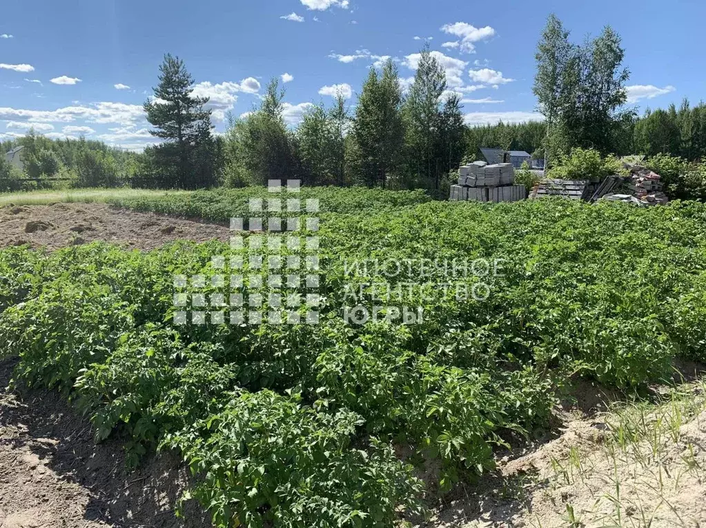 Дом в Ханты-Мансийский АО, Ханты-Мансийск Коммунальник СОТ,  (20 м) - Фото 1