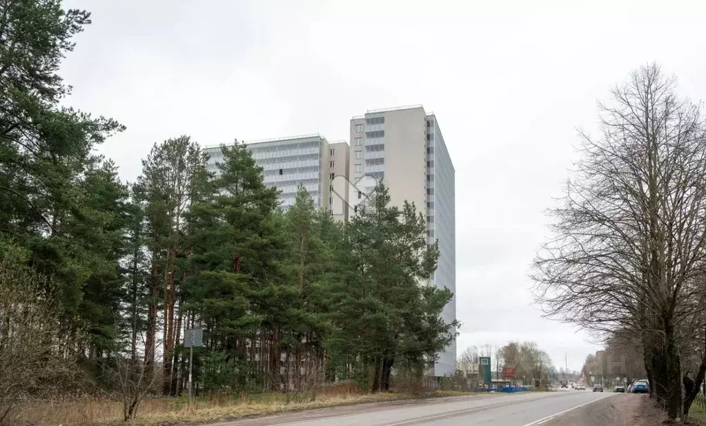 3-к кв. Ленинградская область, Всеволожский район, Кузьмоловский пгт ... - Фото 1