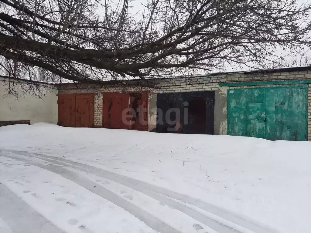 Гараж в Белгородская область, Белгород Студенческая ул. (17 м) - Фото 1