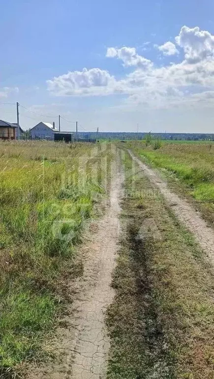 Участок в Воронежская область, с. Новая Усмань ул. Генерала Ватутина, ... - Фото 2