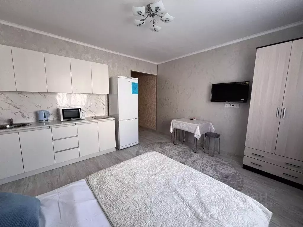 1-к кв. Московская область, Домодедово ул. Курыжова, 14 (26.0 м) - Фото 1