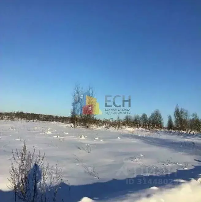 Участок в Тульская область, Новогуровский рп  (208.0 сот.) - Фото 2