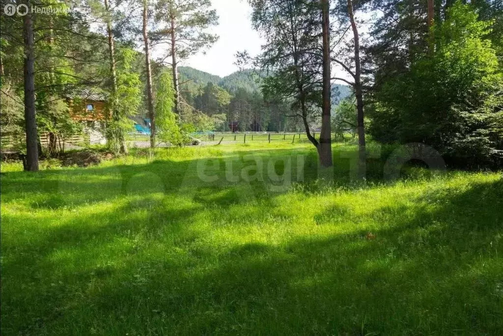 Участок в Шебалинский район, село Камлак (15.05 м) - Фото 1