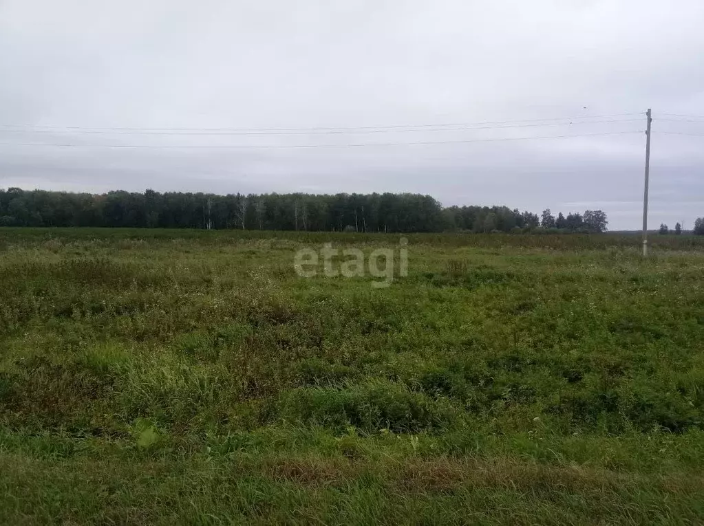 Участок, 600 сот., сельхоз (снт или днп) - Фото 0