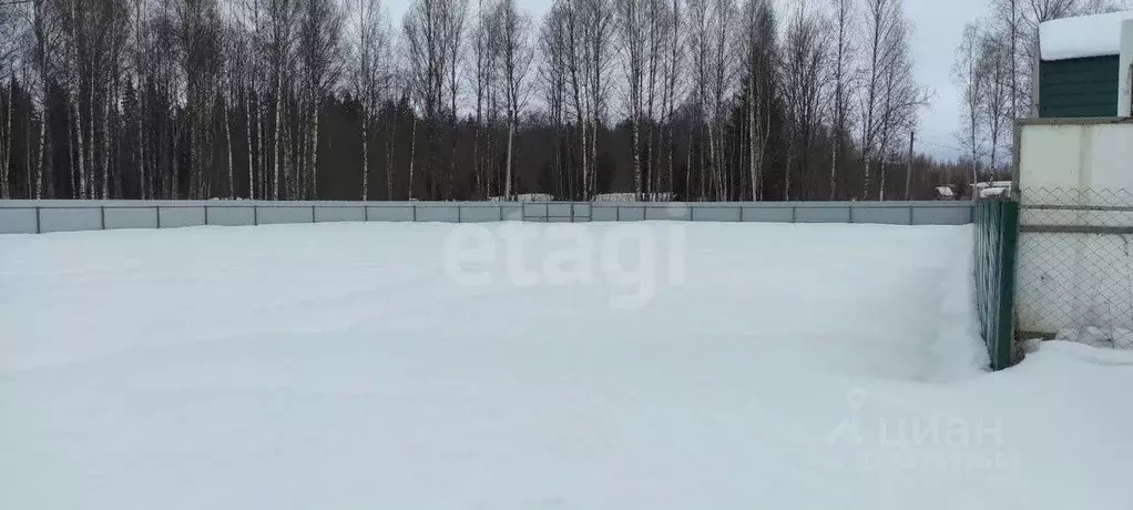 Участок в Ярославская область, Ярославский муниципальный округ, ... - Фото 2