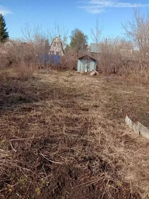 Участок в Башкортостан, Чишминский район, Аровский сельсовет, Дема-4 ... - Фото 1