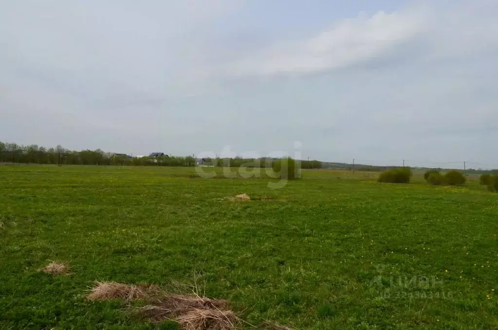 Участок в Ленинградская область, Ломоносовский район, Виллозское ... - Фото 1