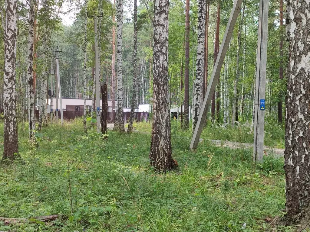 Участок в Свердловская область, Белоярский муниципальный округ, пос. ... - Фото 1