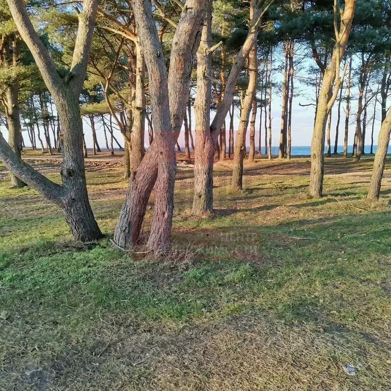 Дом в Калининградская область, Зеленоградский муниципальный округ, ... - Фото 2