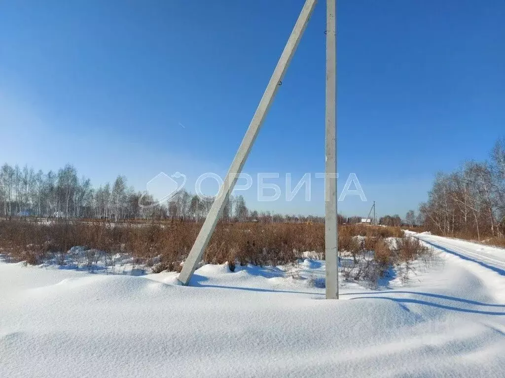 Участок в Тюменская область, Нижнетавдинский муниципальный округ, ... - Фото 2