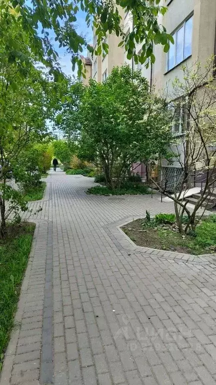 2-к кв. Калининградская область, Калининград ул. Виктора Гакуна, 10 ... - Фото 1