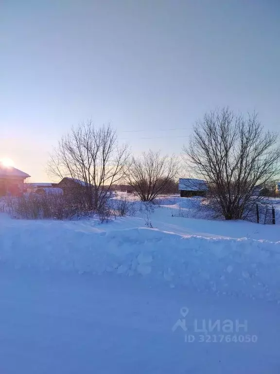 Участок в Алтайский край, Первомайский район, с. Повалиха Советская ... - Фото 2