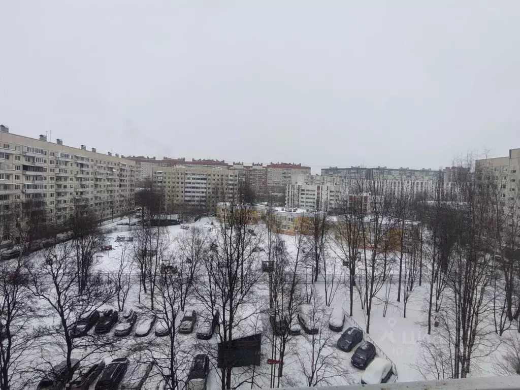 2-к кв. Санкт-Петербург просп. Авиаконструкторов, 25 (54.8 м) - Фото 2