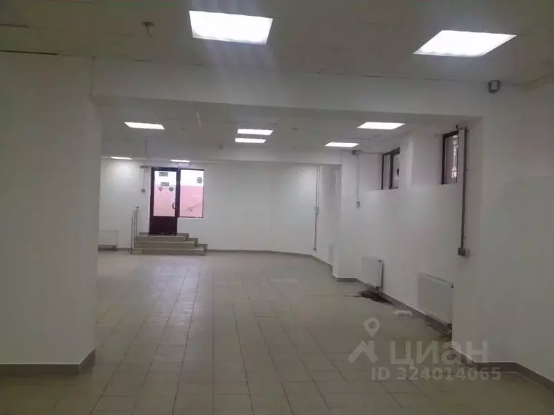 Торговая площадь в Самарская область, Самара ул. Пушкина, 223 (396 м) - Фото 1