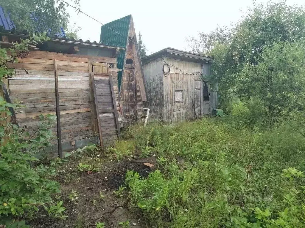 Дом в Тюменская область, Тюмень Плодовое СНТ, ул. Пихтовая (96 м) - Фото 0