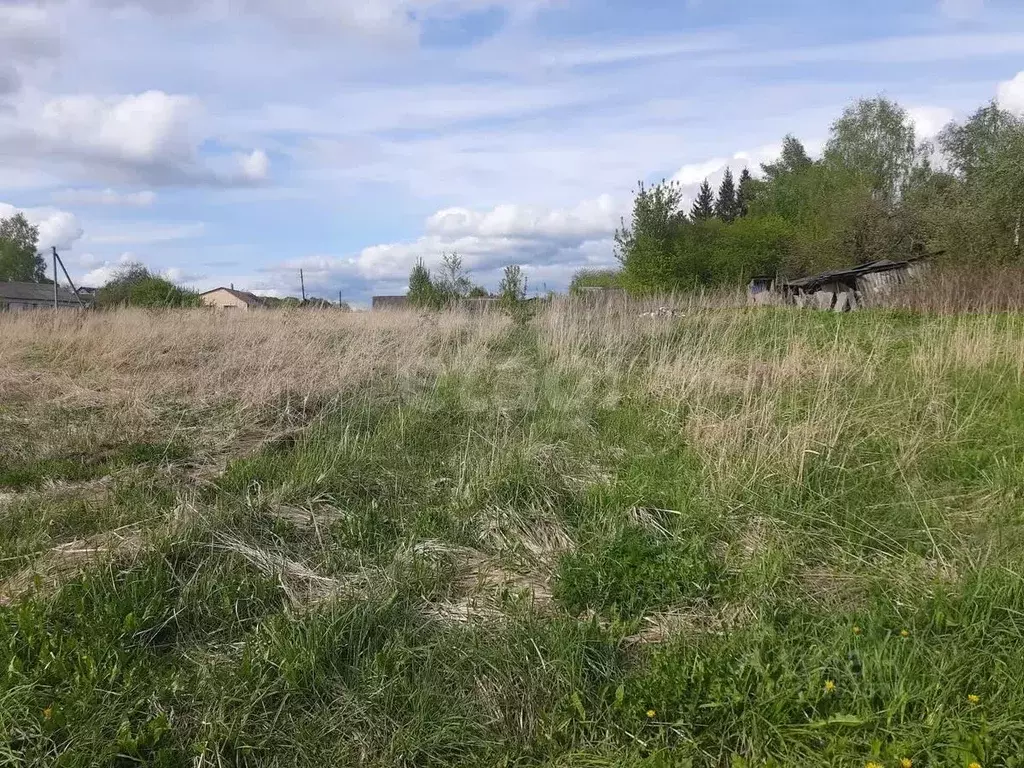 Участок в Смоленская область, Смоленский муниципальный округ, с. ... - Фото 0