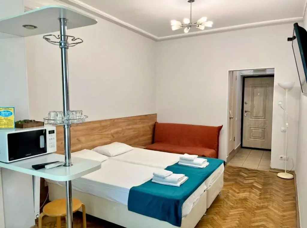 1-к кв. Краснодарский край, Сочи Курортный просп., 75к1 (25.0 м) - Фото 1