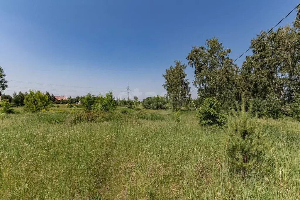 Участок в Алтайский край, Первомайский район, с. Санниково, Овощевод ... - Фото 2