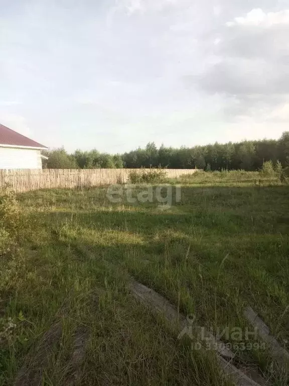 Участок в Нижегородская область, Выкса городской округ, с. Борковка ... - Фото 1