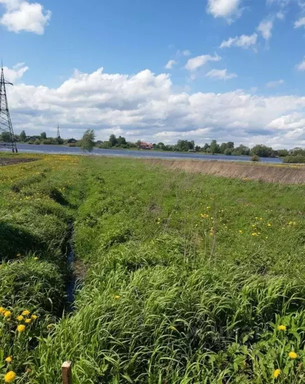 Участок в Новгородская область, Новгородский район, Борковское с/пос, ... - Фото 1