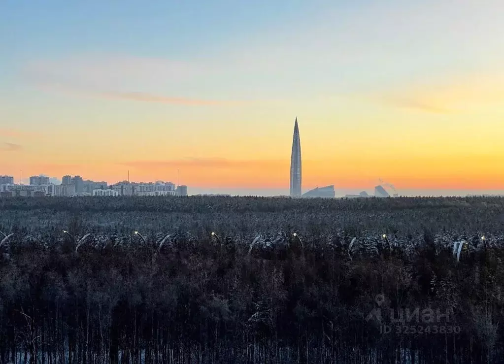 Студия Санкт-Петербург ул. Плесецкая, 2 (28.0 м) - Фото 1