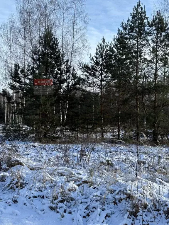 Участок в Рязанская область, Спасский муниципальный округ, с. Ярустово ... - Фото 1