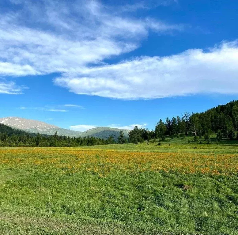 Участок в Алтай, Шебалинский район Р-256 Чуйский тракт, 575-й км ... - Фото 1