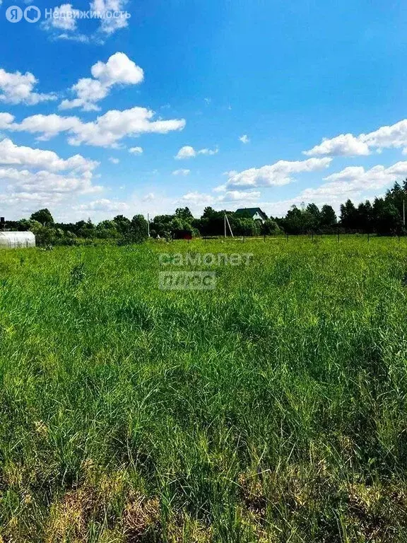 Участок в Нерехтский район, Воскресенское сельское поселение, посёлок ... - Фото 2