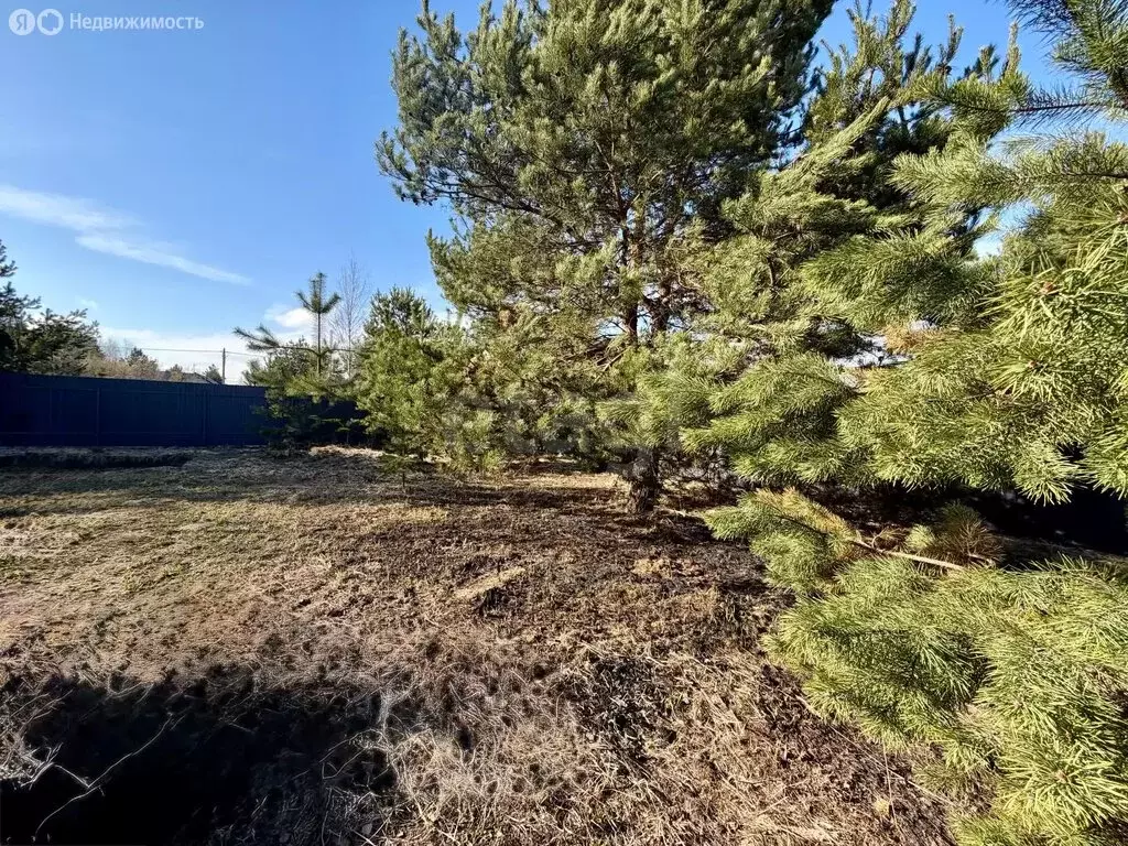 Дом в Раменское, Августовская улица (24 м) - Фото 2