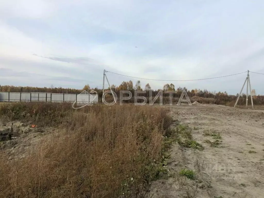 Участок в Тюменская область, Нижнетавдинский район, Здоровье-3 СТ  ... - Фото 1