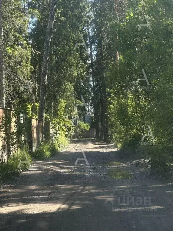 Участок, 12 сот., поселения (ижс) - Фото 0