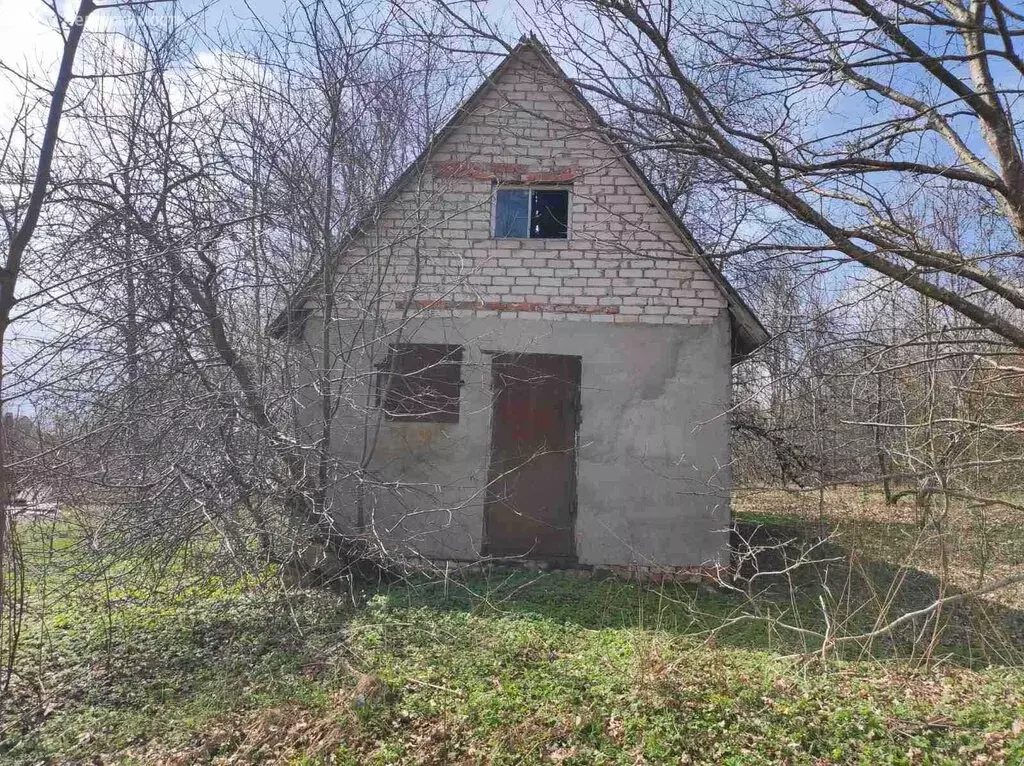 Участок в Калининградская область, Зеленоградский муниципальный округ, ... - Фото 0