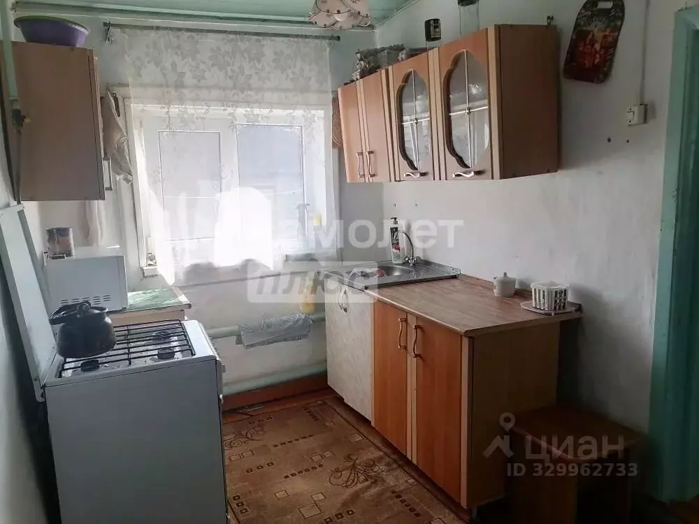 Дом в Челябинская область, с. Еткуль пер. 4-й (55 м) - Фото 2