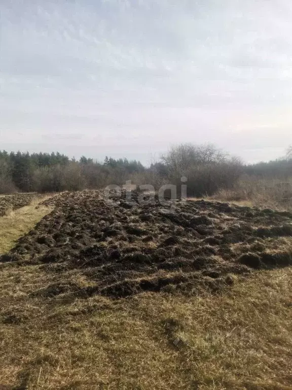 Участок в Липецкая область, Задонский район, Каменский сельсовет, с. ... - Фото 1