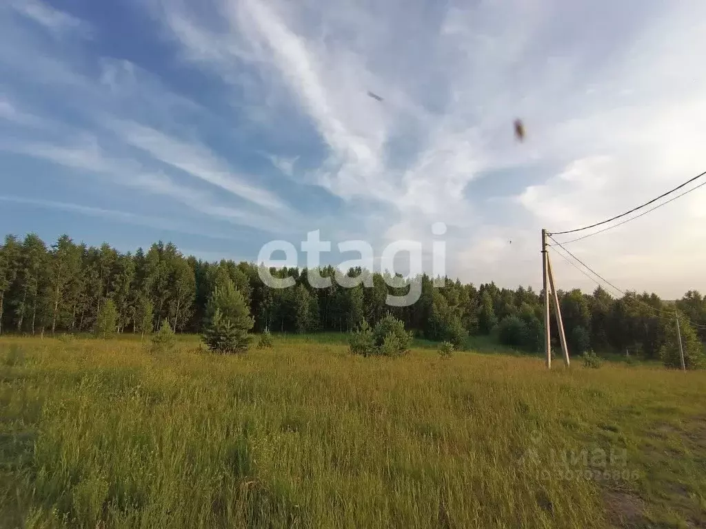 участок в красноярский край, березовский район, вознесенский . - Фото 0