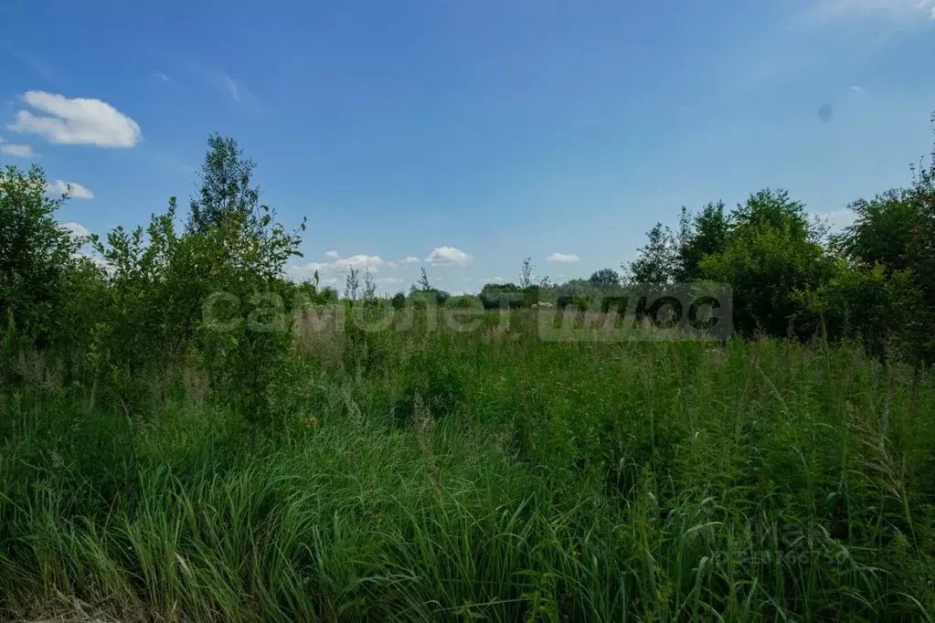 Участок в Московская область, Наро-Фоминский городской округ, д. Устье ... - Фото 0