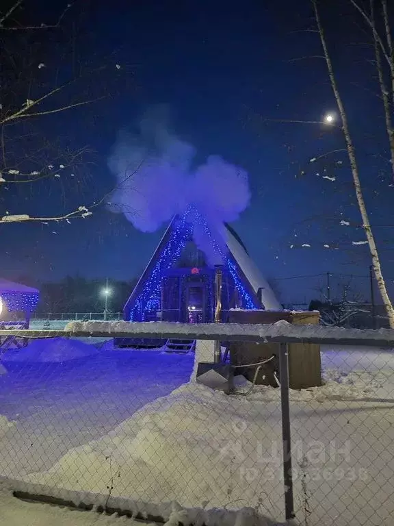 Дом в Тульская область, Донской  (60 м) - Фото 1