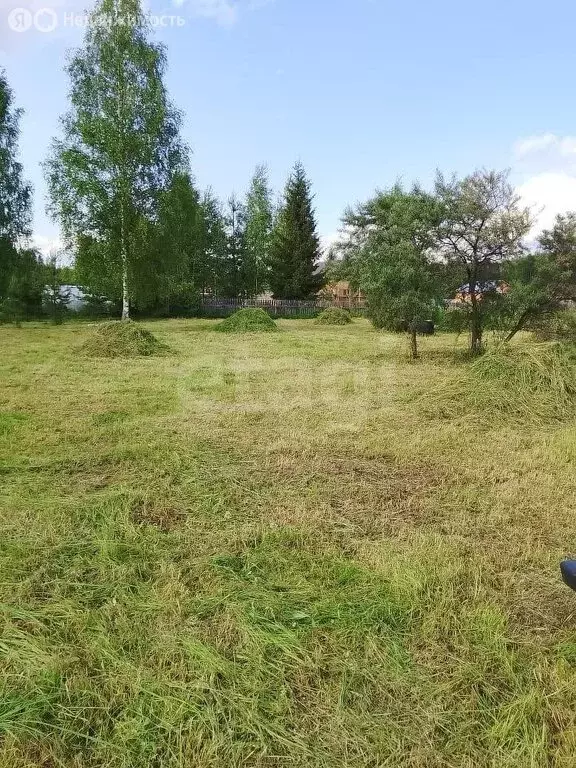 Участок в Ярославский муниципальный округ, СНТ Мечта (12 м) - Фото 0