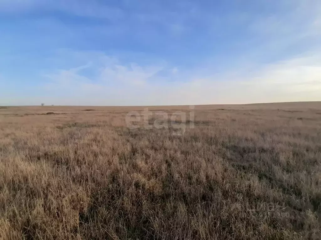 Участок в Крым, Сакский район, с. Ивановка  (8.0 сот.) - Фото 2