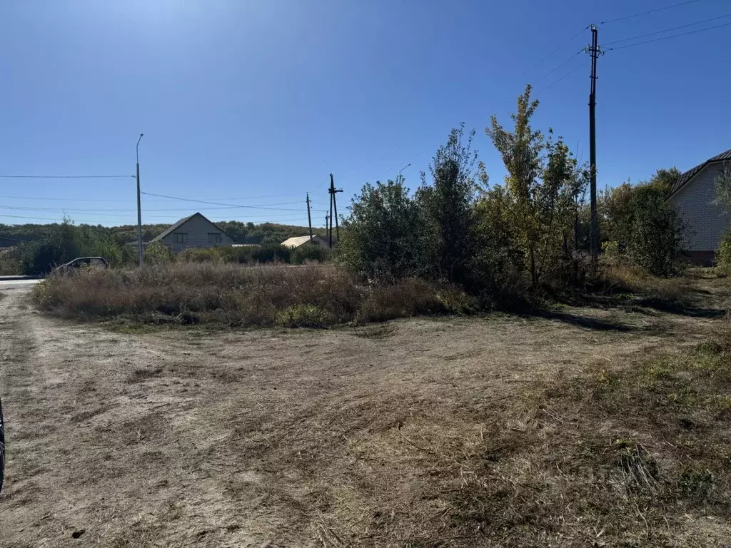 Участок в Саратовская область, с. Александровка ул. Заводская (8.0 ... - Фото 0