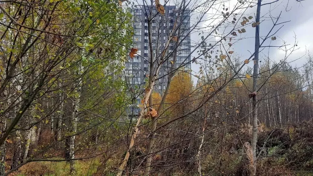Участок в Москва д. Тупиково, Поляна СНТ, 19 (30.0 сот.) - Фото 1