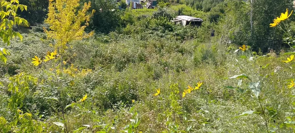 Участок 9,7 сот. (СНТ, ДНП) - Фото 1
