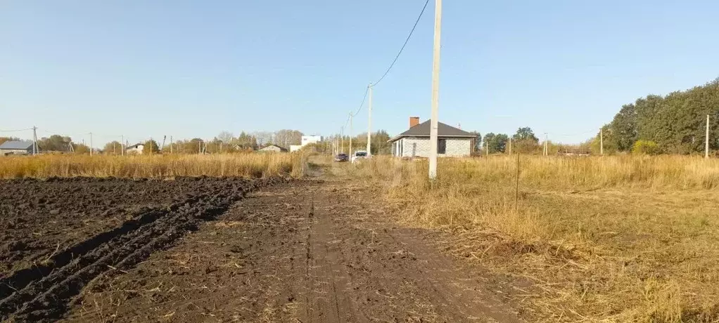 Участок в Тульская область, Киреевский район, Красноярское ... - Фото 0