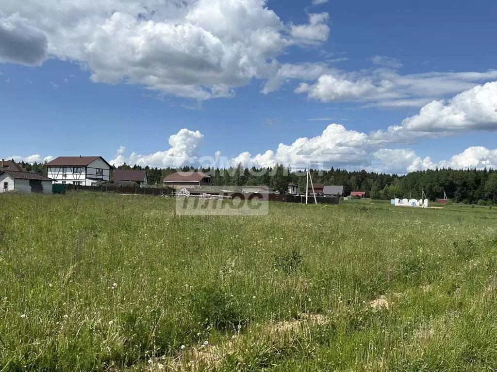 Участок в Калужская область, Совхоз Боровский с/пос, д. Комлево  (7.33 ... - Фото 2