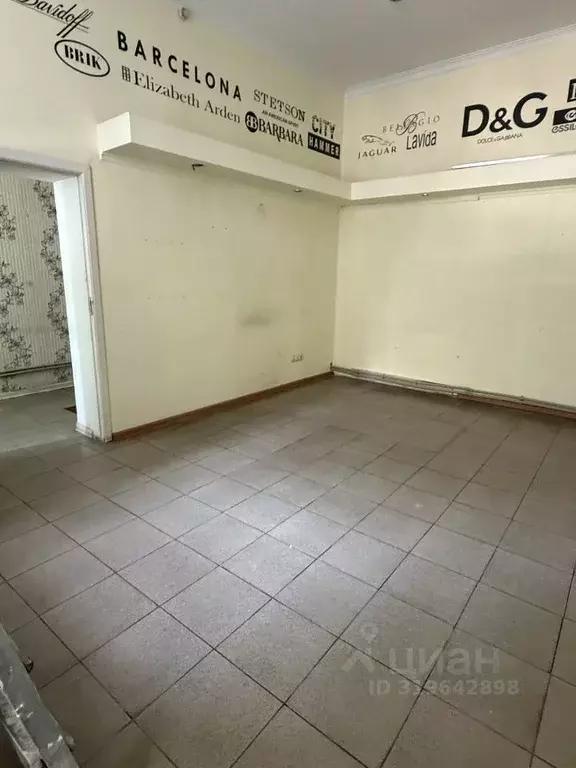 Помещение свободного назначения в Северная Осетия, Владикавказ ул. ... - Фото 1