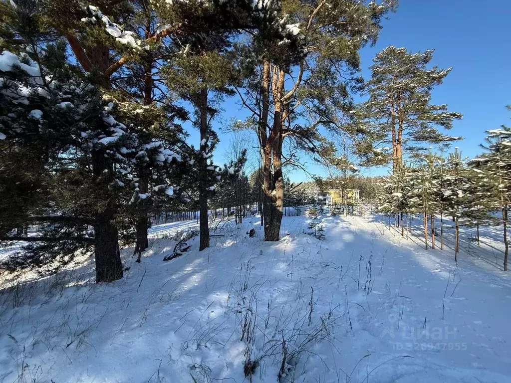 Участок в Ленинградская область, Выборгский район, Первомайское с/пос, ... - Фото 1