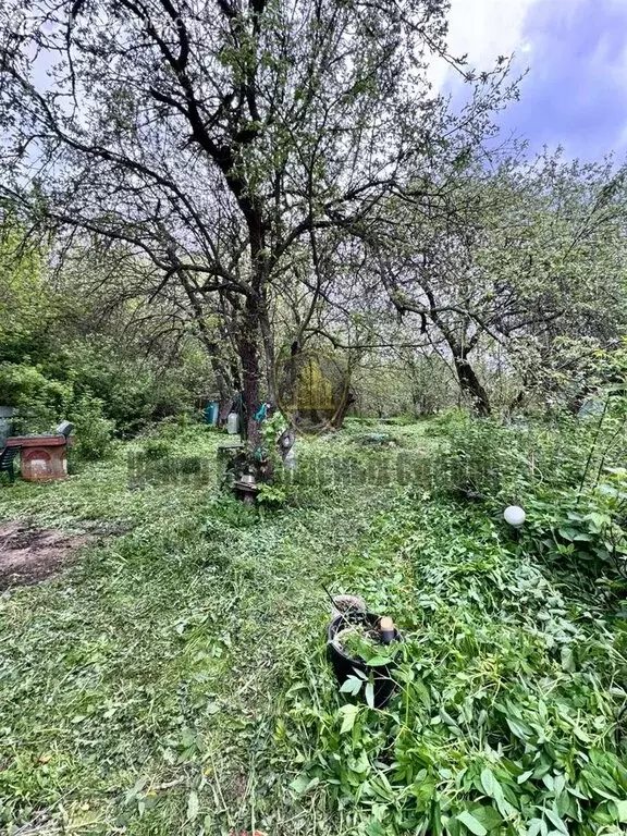 Дом в село Шелемишево, улица Ленина, 19 (71 м) - Фото 0