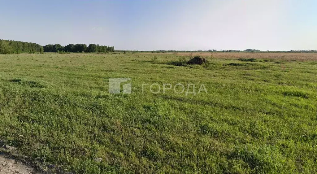 Участок в Новосибирская область, Новосибирский район, Криводановский ... - Фото 1